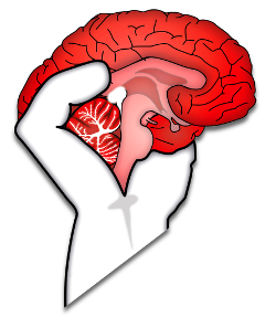 Occupy Your Brain